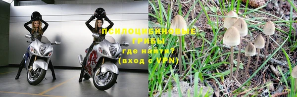 крисы Балахна