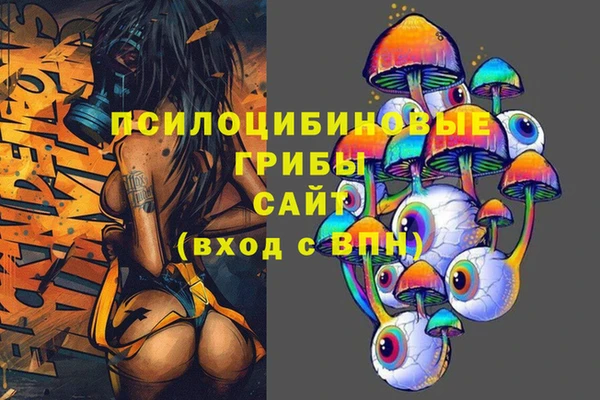 крисы Балахна